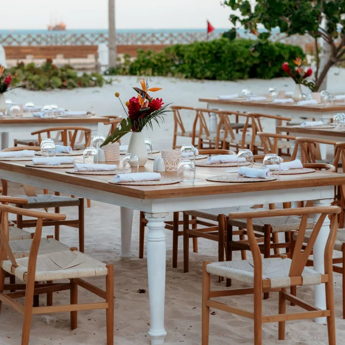 Jungle Beach venue at SLS Playa Mujeres