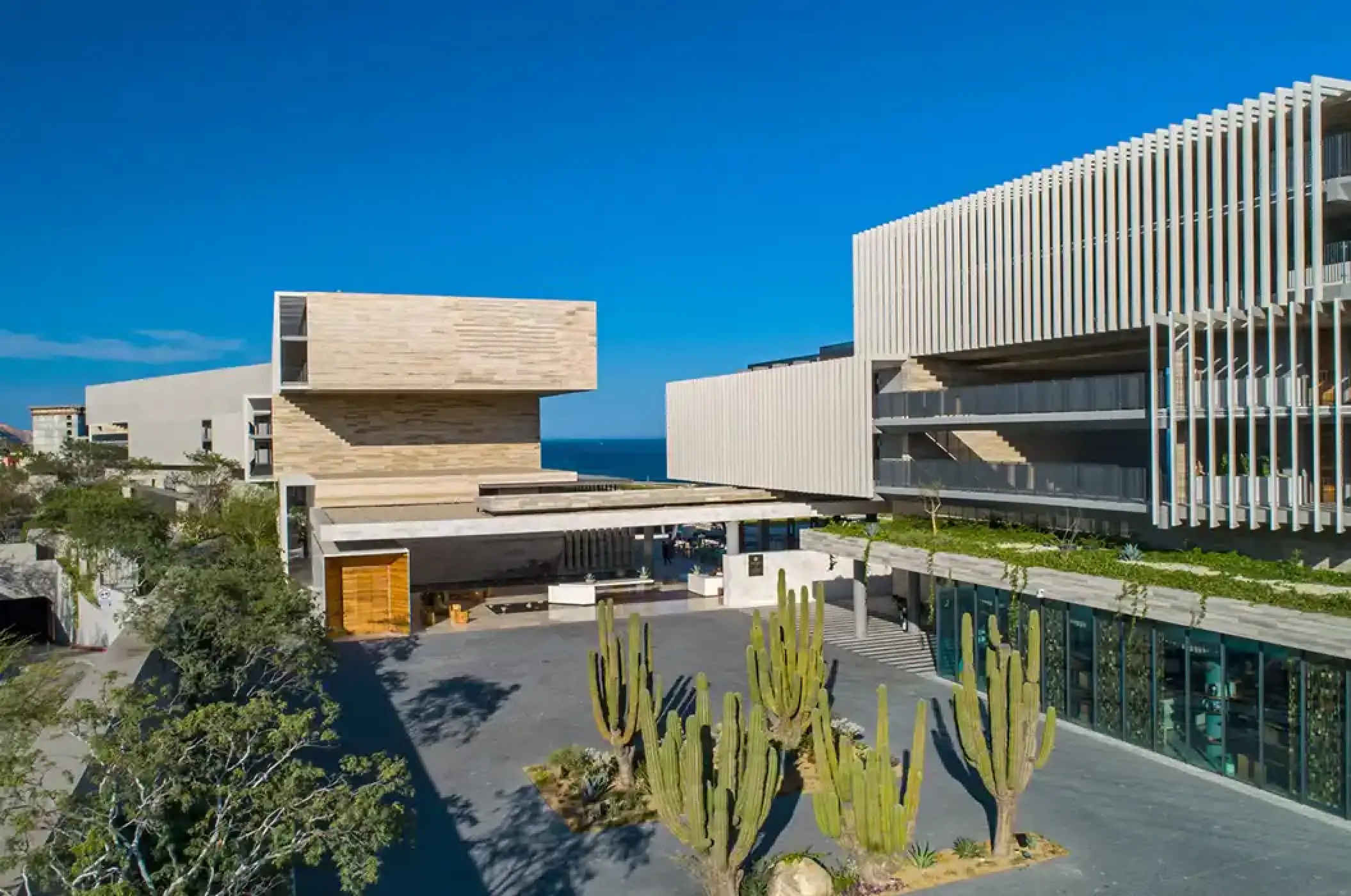 Modern architecture and cactus gardens at Solaz Los Cabos, Cabo San Lucas