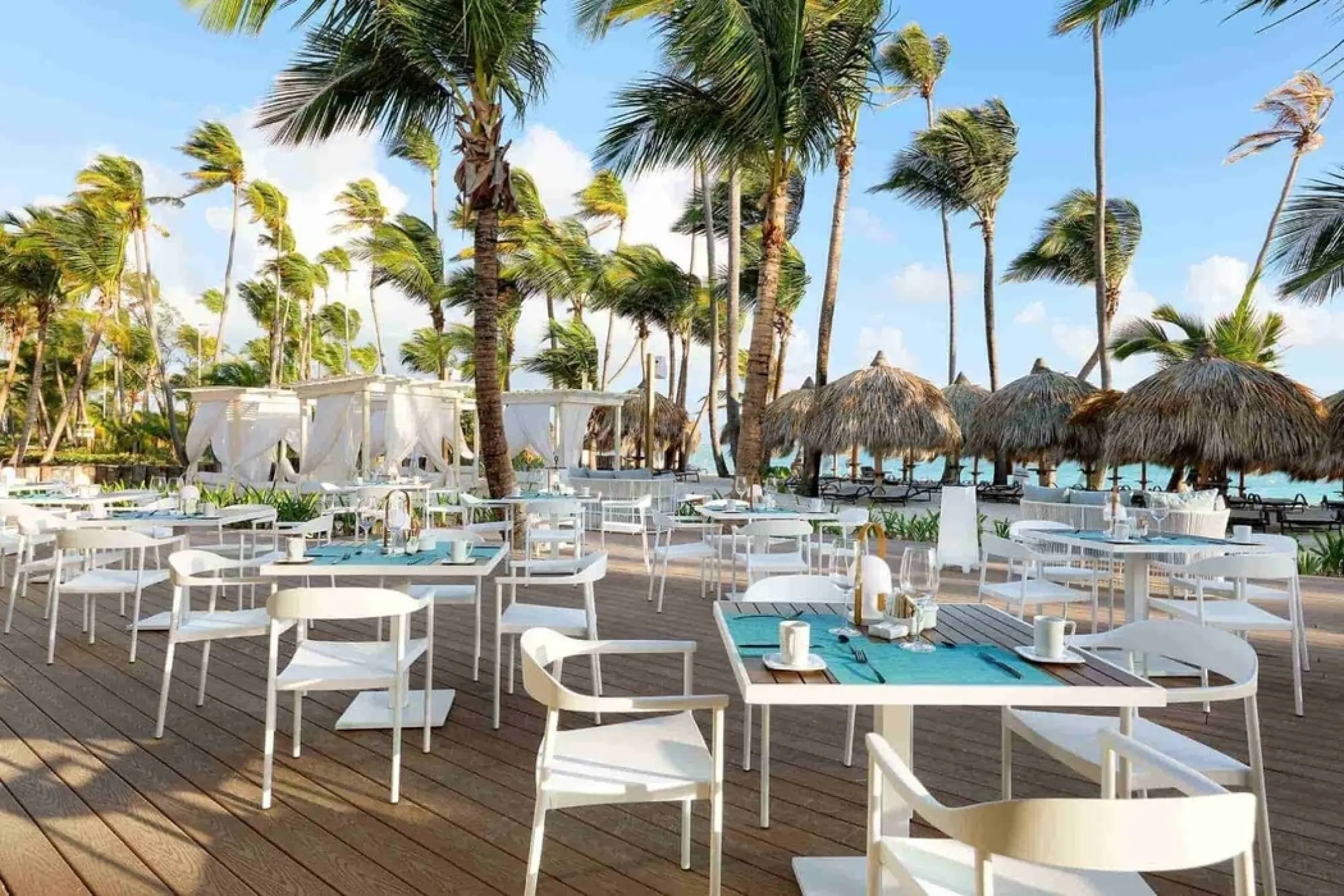 Outdoor beachside restaurant terrace with white tables and palm trees at TRS Turquesa, Punta Cana