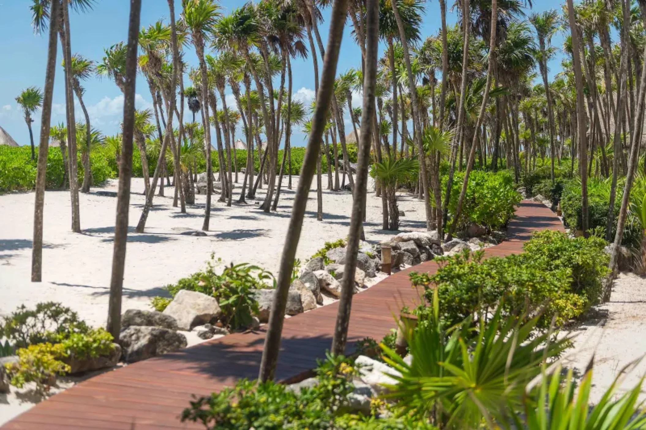 Wood path at Valentin Imperial Riviera Maya