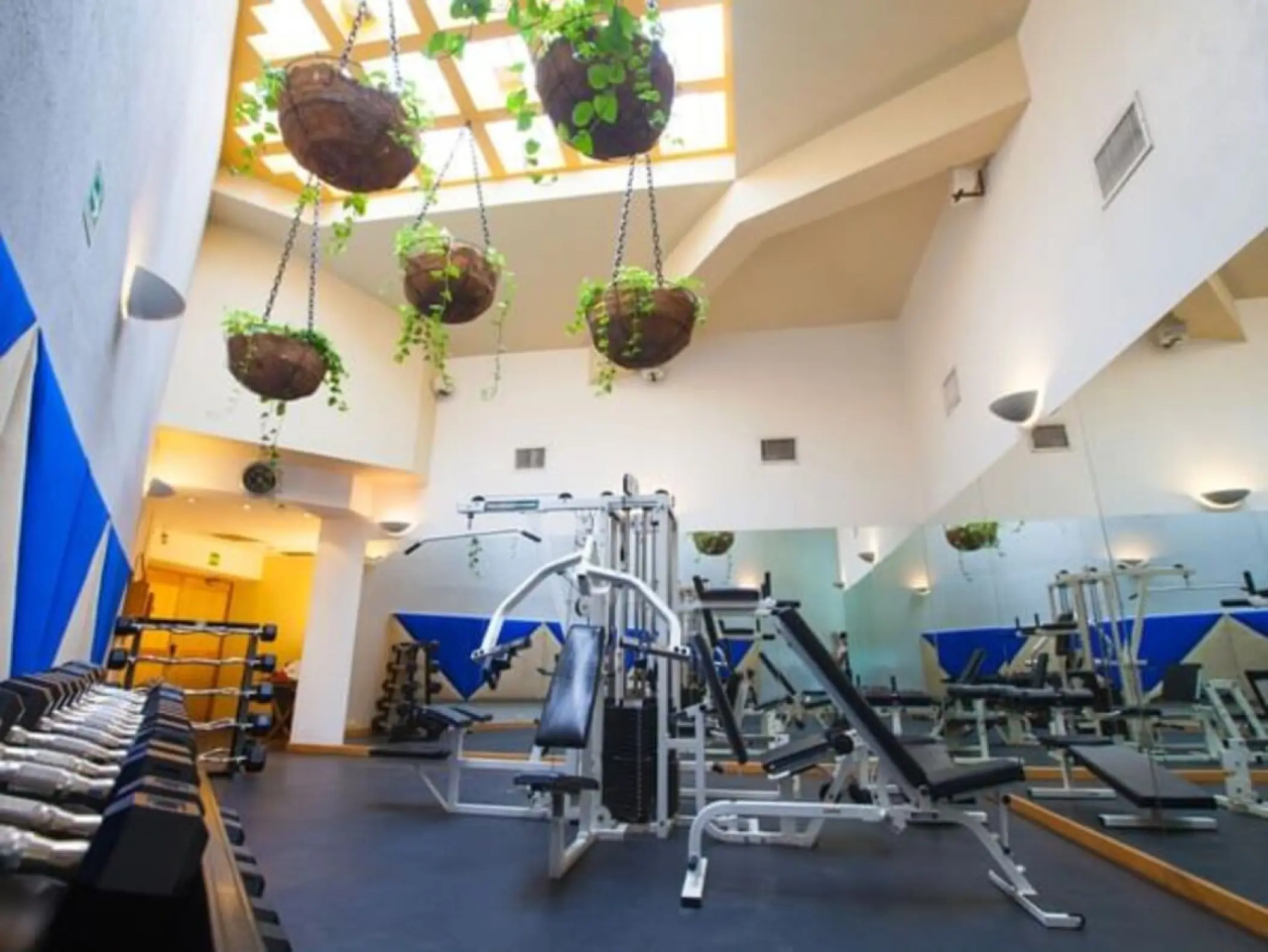 Fitness center with weight machines and hanging plants at Villa Premiere Boutique Hotel, Puerto Vallarta