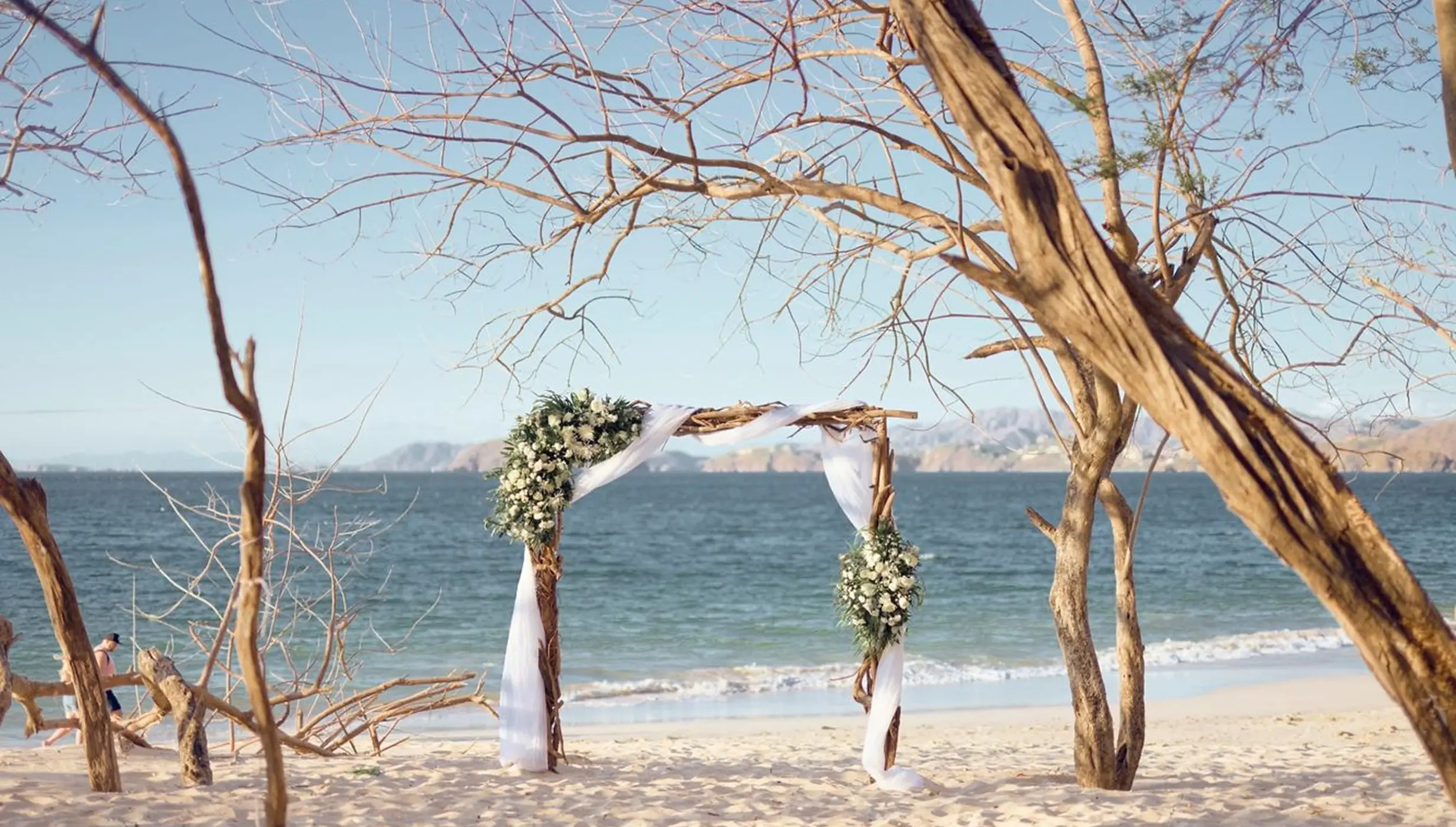 Beachfront wedding ceremony arch framed by trees at Westin Reserva Conchal, Liberia