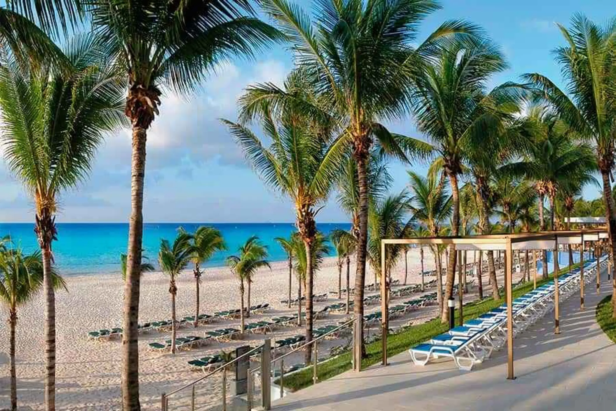Palm trees and sun loungers on the white sand beach at Riu Yucatan, Playa Del Carmen