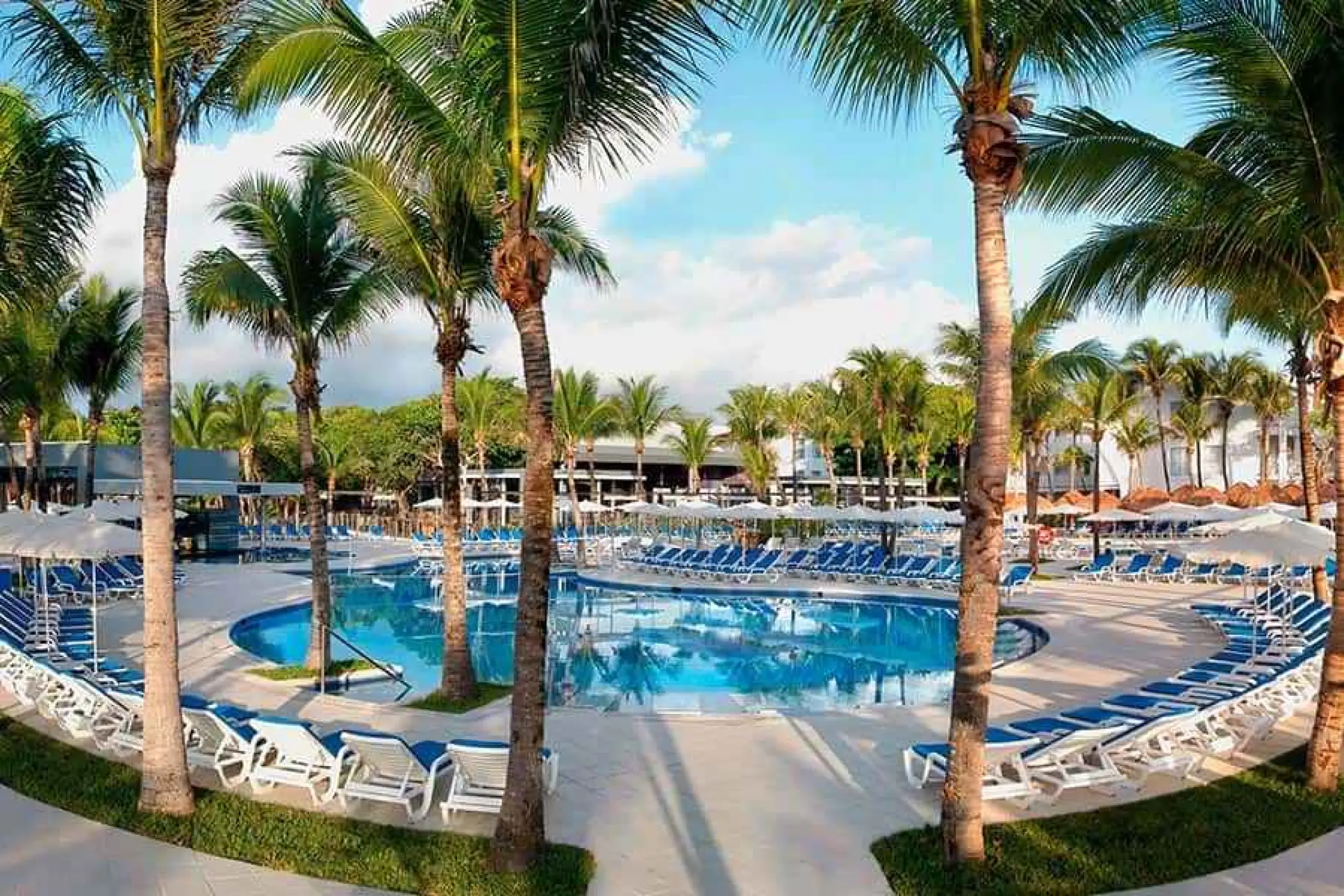 Riu Yucatan outdoor swimming pool surrounded by palm trees and lounge chairs, Playa Del Carmen