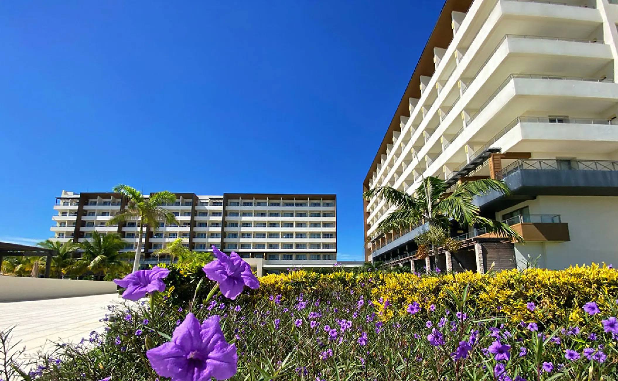 Modern white suites and tropical gardens at Royalton Blue Waters, Montego Bay