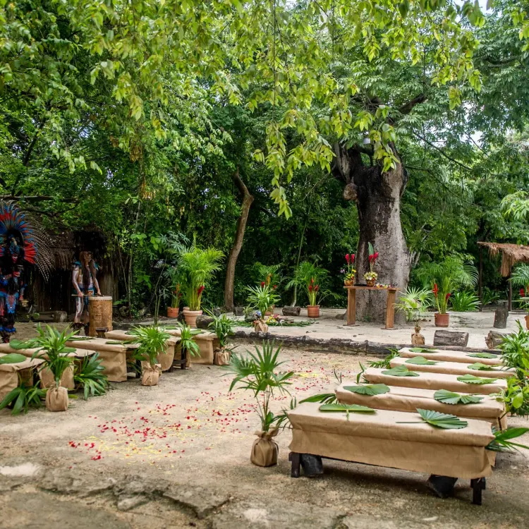 Jungle wedding ceremony setup at Sandos Caracol, Playa Del Carmen