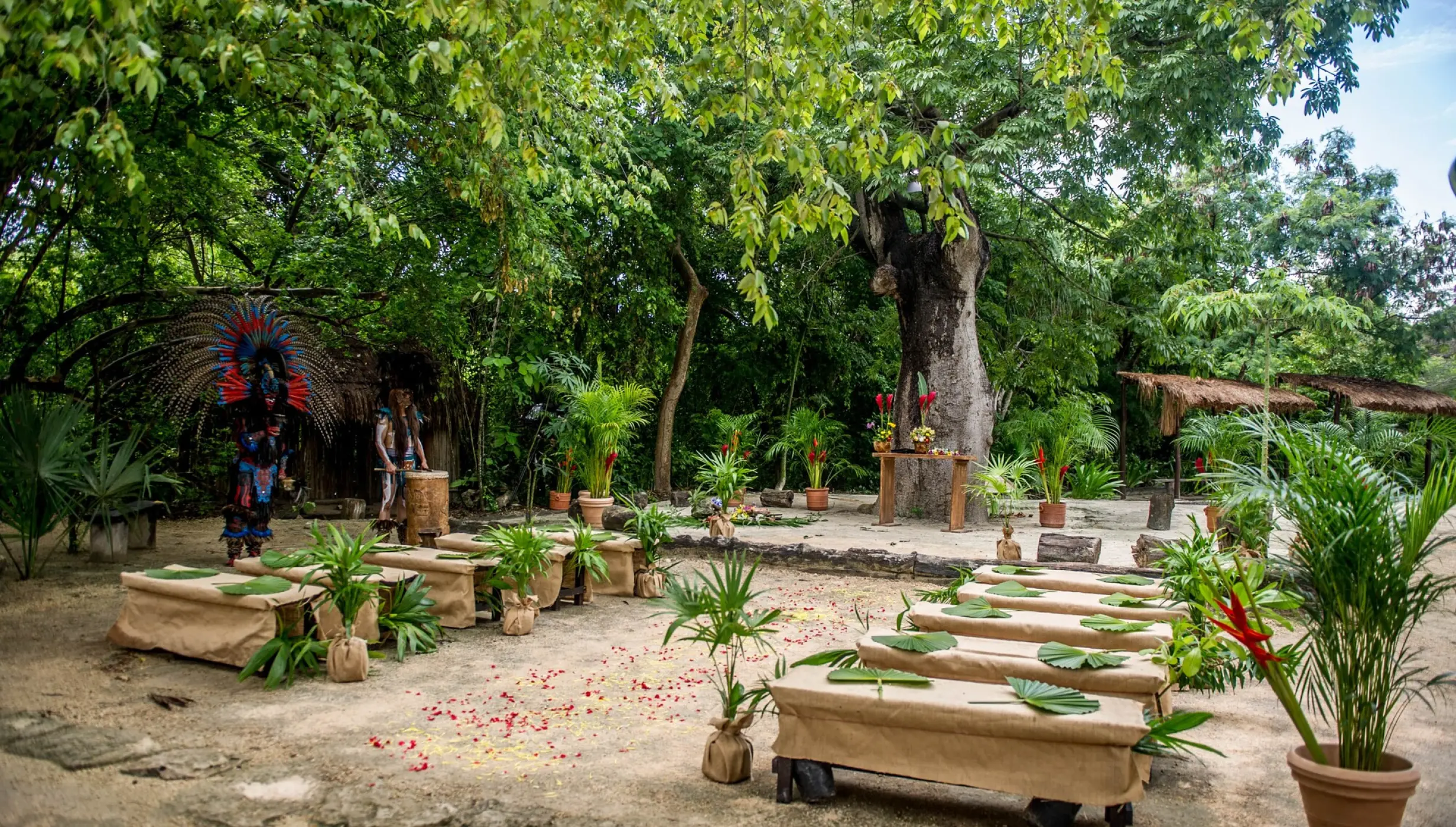 Wedding ceremony on la ceiba wedding venue at Sandos Caracol Eco Resort