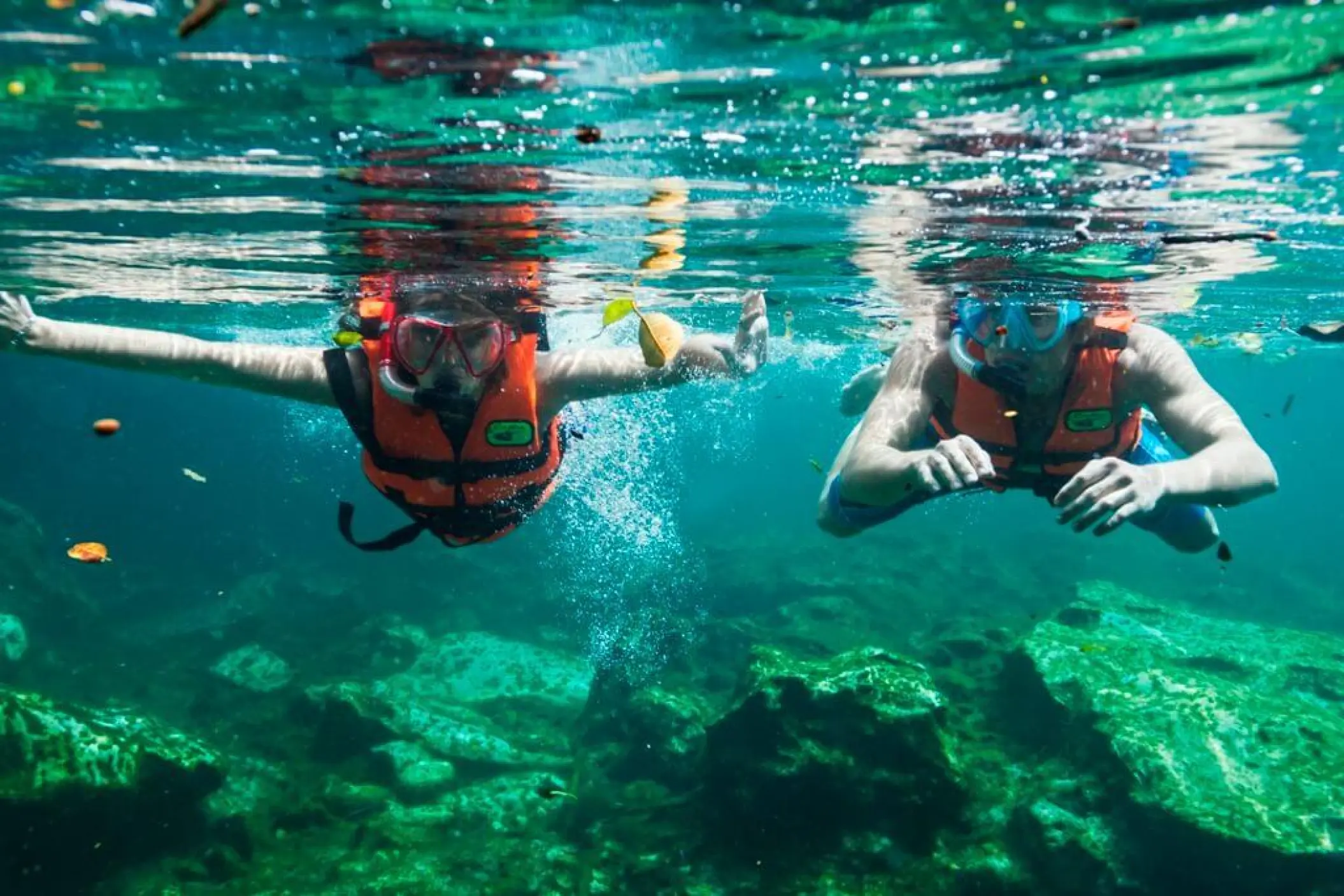 Two people snorkeling in the turquoise cenote water at Sandos Caracol, Playa Del Carmen