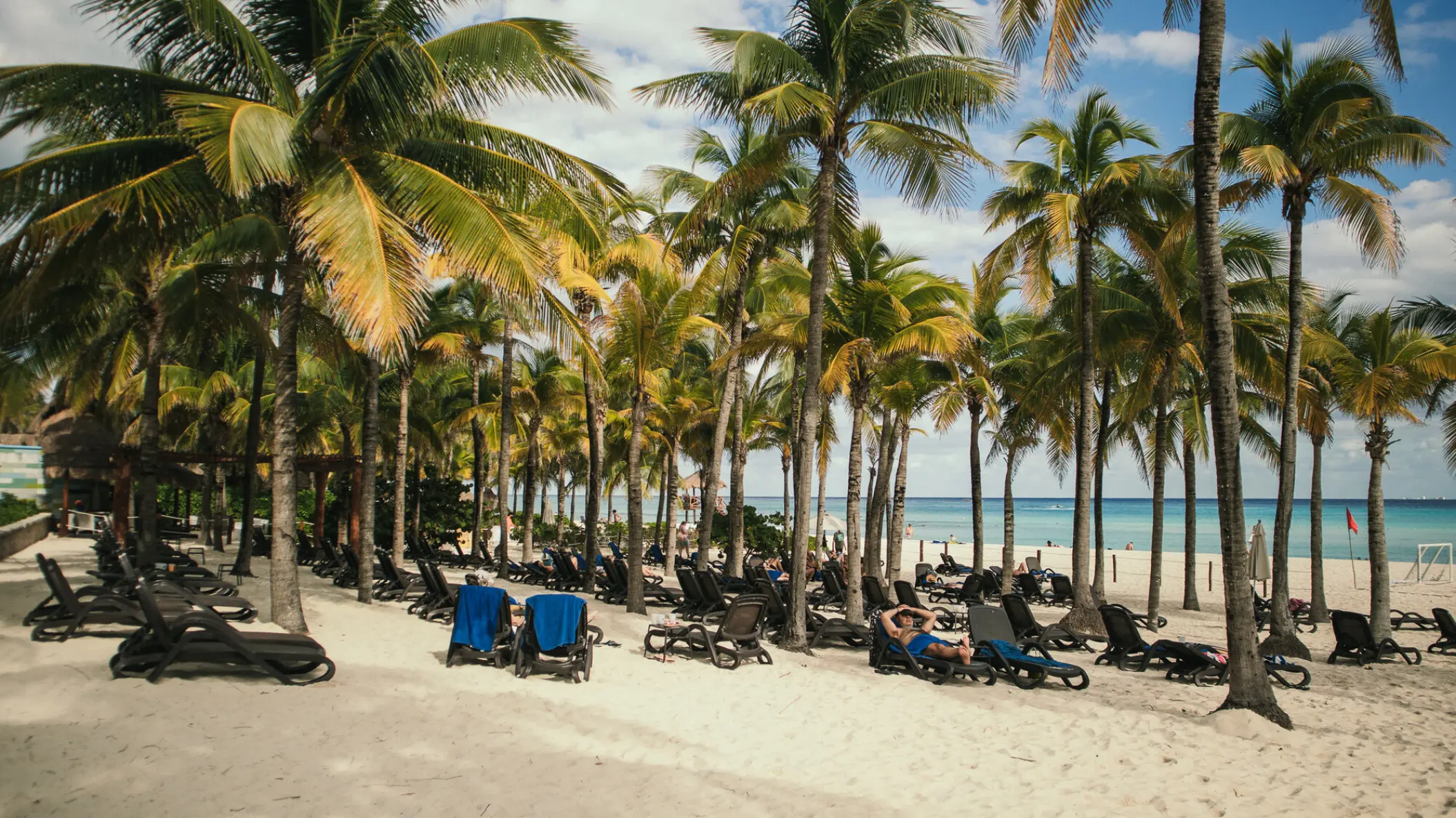 Palm tree-shaded beach with sun loungers at Sandos Playacar, Playa Del Carmen