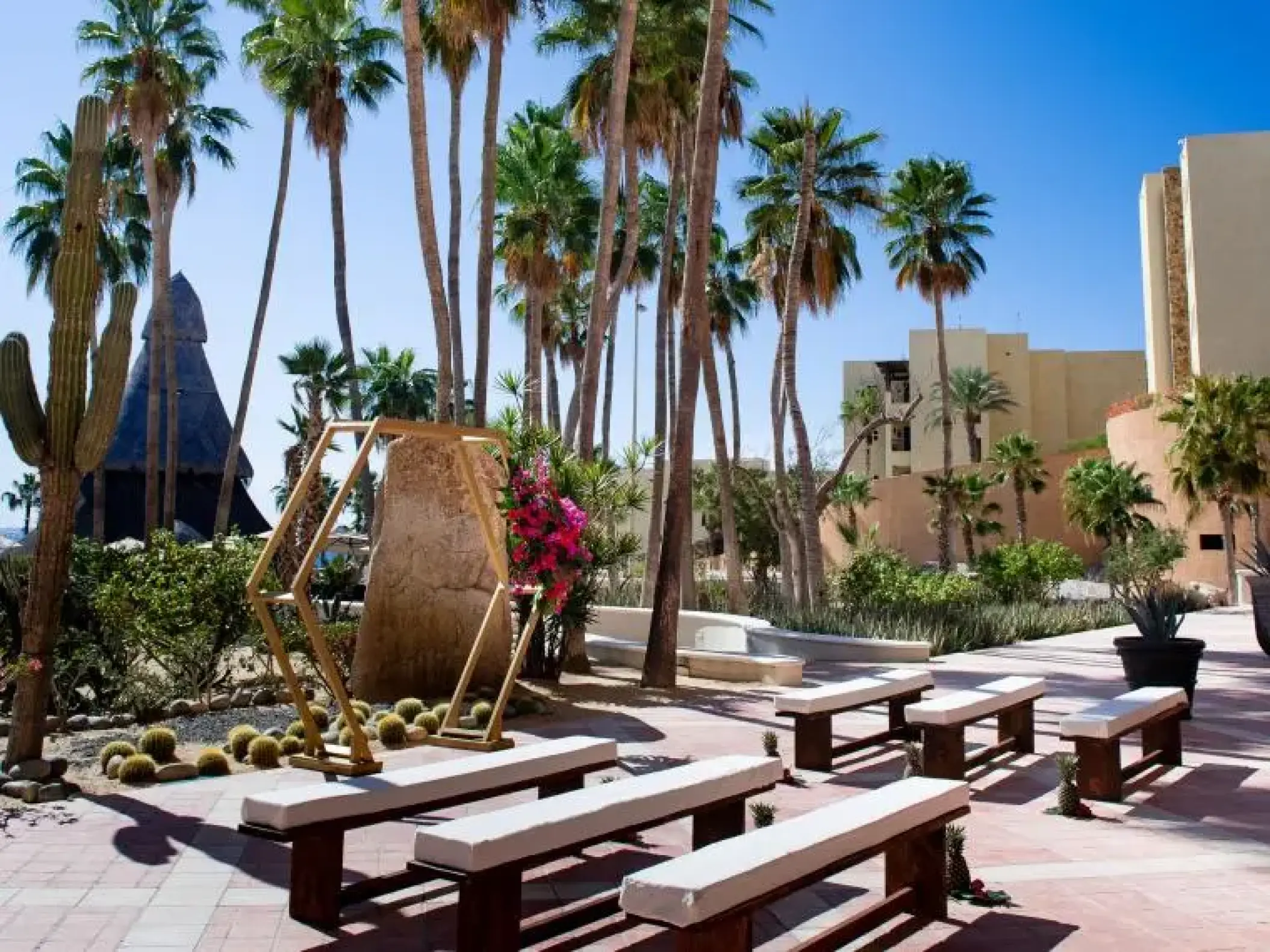 Desert garden wedding ceremony with a gold hexagonal arch and wooden benches at Sandos Finisterra, Cabo San Lucas