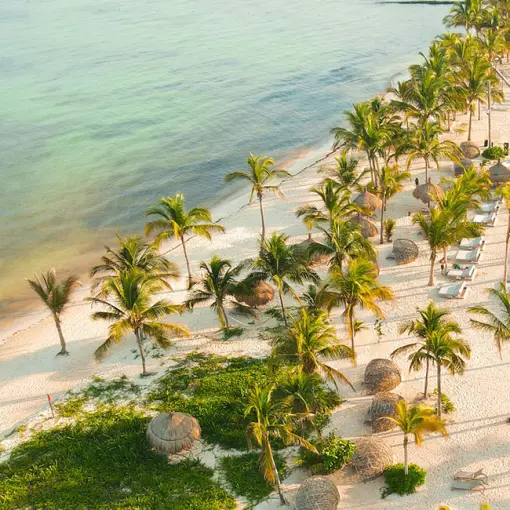 Aerial view of the palm-lined white sand beach at Secrets Moxche, Playa Del Carmen