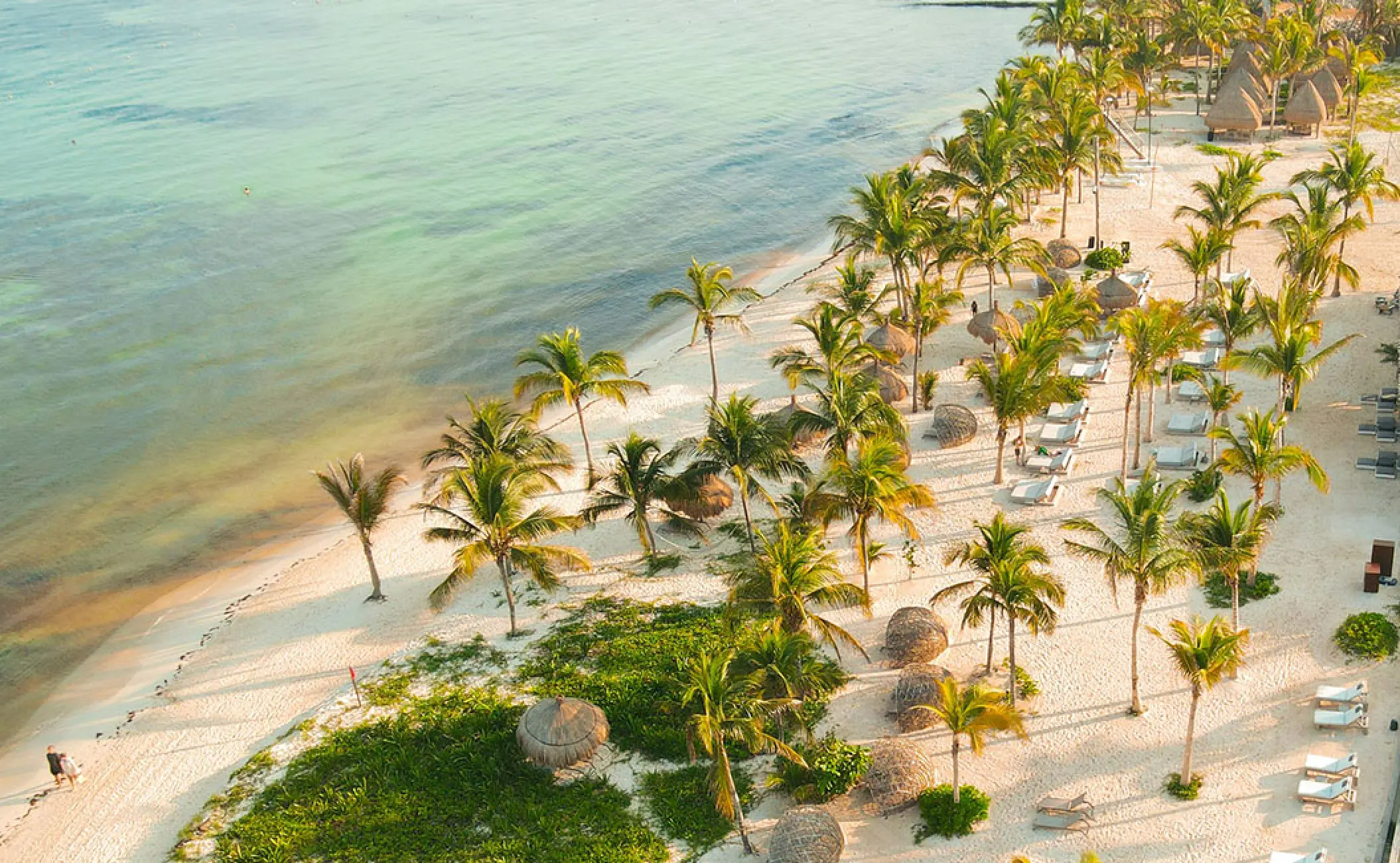 Aerial view of the palm-lined white sand beach at Secrets Moxche, Playa Del Carmen