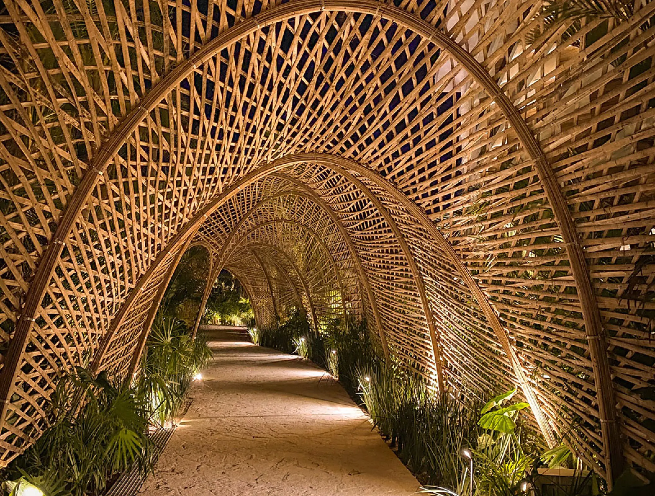 Secrets Moxche arching wicker walkway lit up at night, Playa Del Carmen