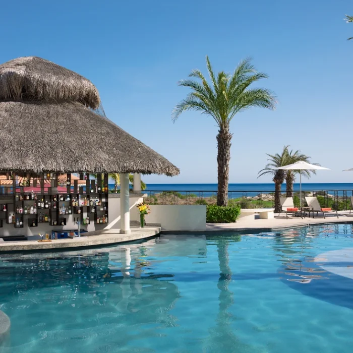 Manatees bar at Secrets Puerto Los Cabos Golf & Spa Resort