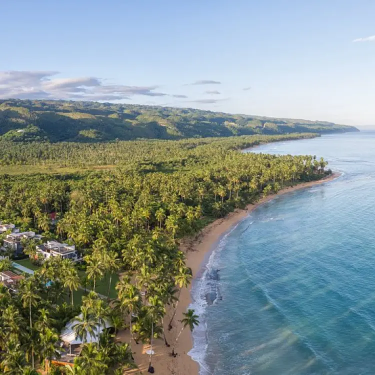 Aerial view of Sublime Samaná beach and tropical palm trees, Samana