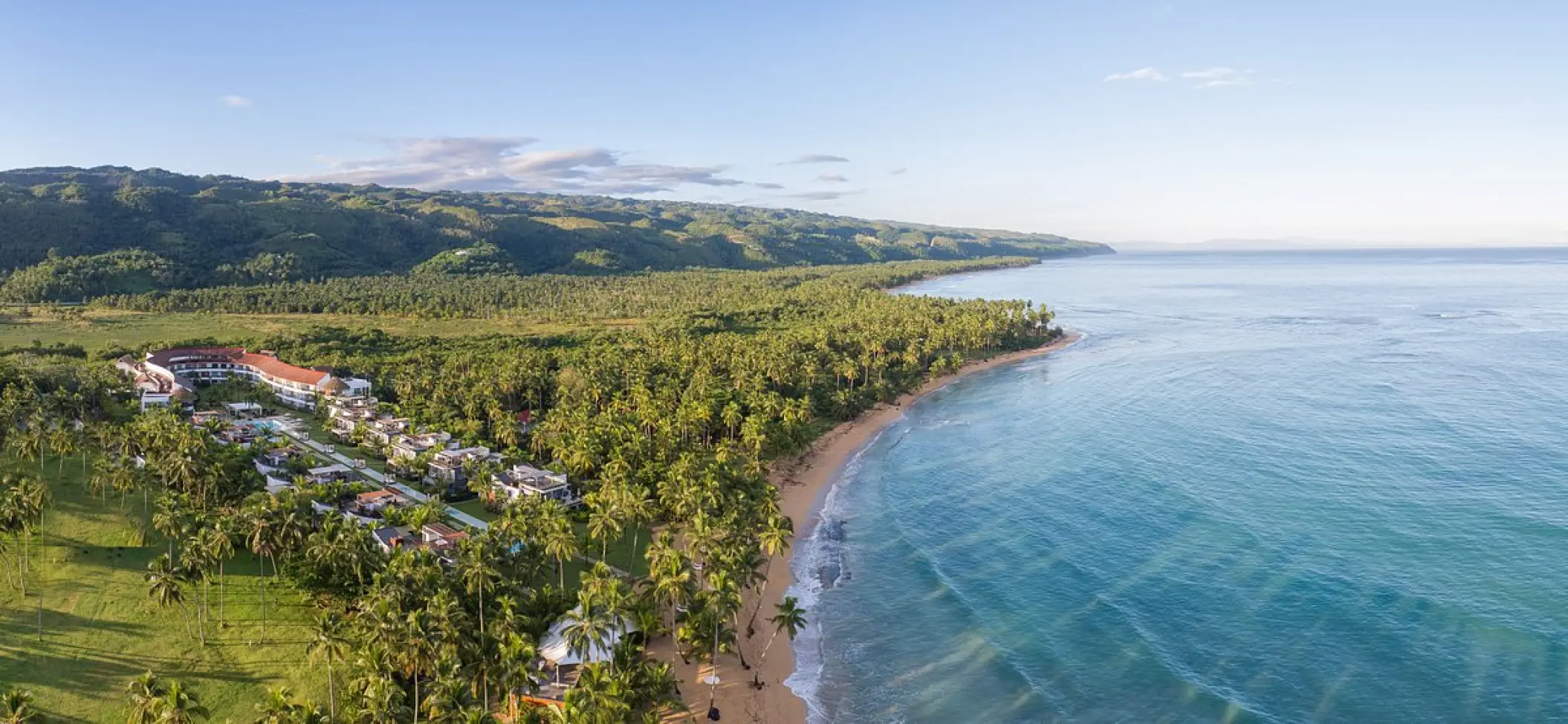 Aerial view of Sublime Samaná beach and tropical palm trees, Samana