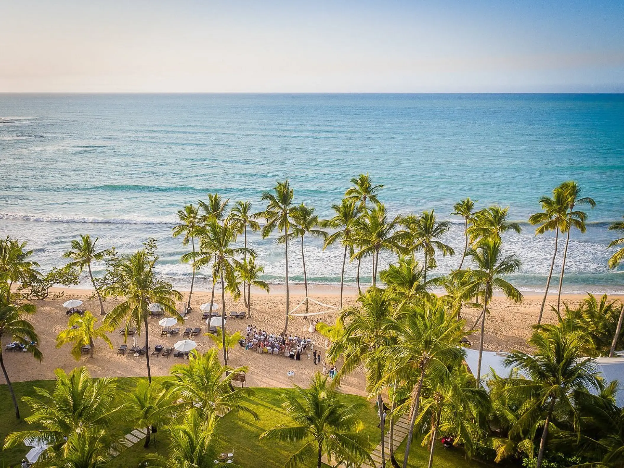Aerial view of a beach ceremony and palm trees at Sublime Samana, Samana
