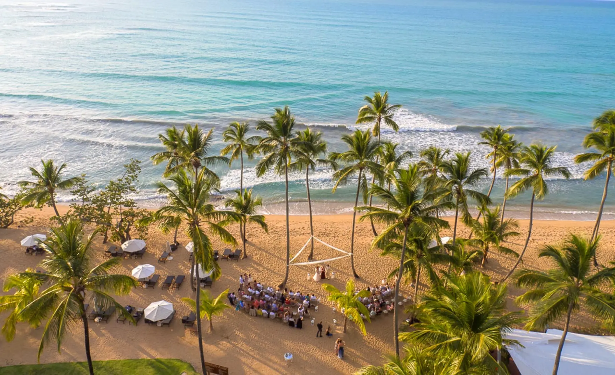 Aerial view of a beach wedding ceremony under palm trees at Sublime Samaná, Samana