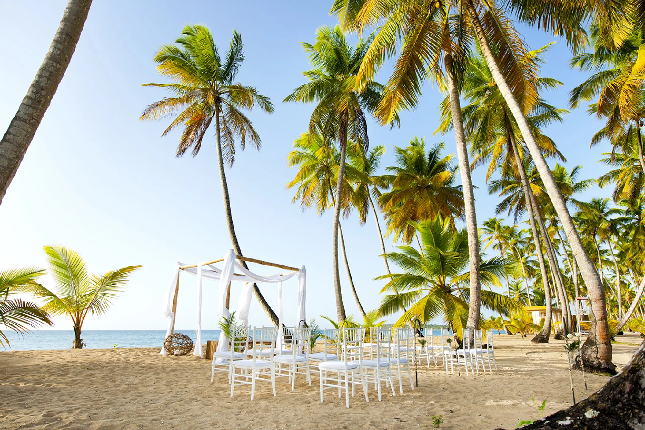 Beachfront wedding ceremony setup under palm trees at Sublime Samaná, Samana