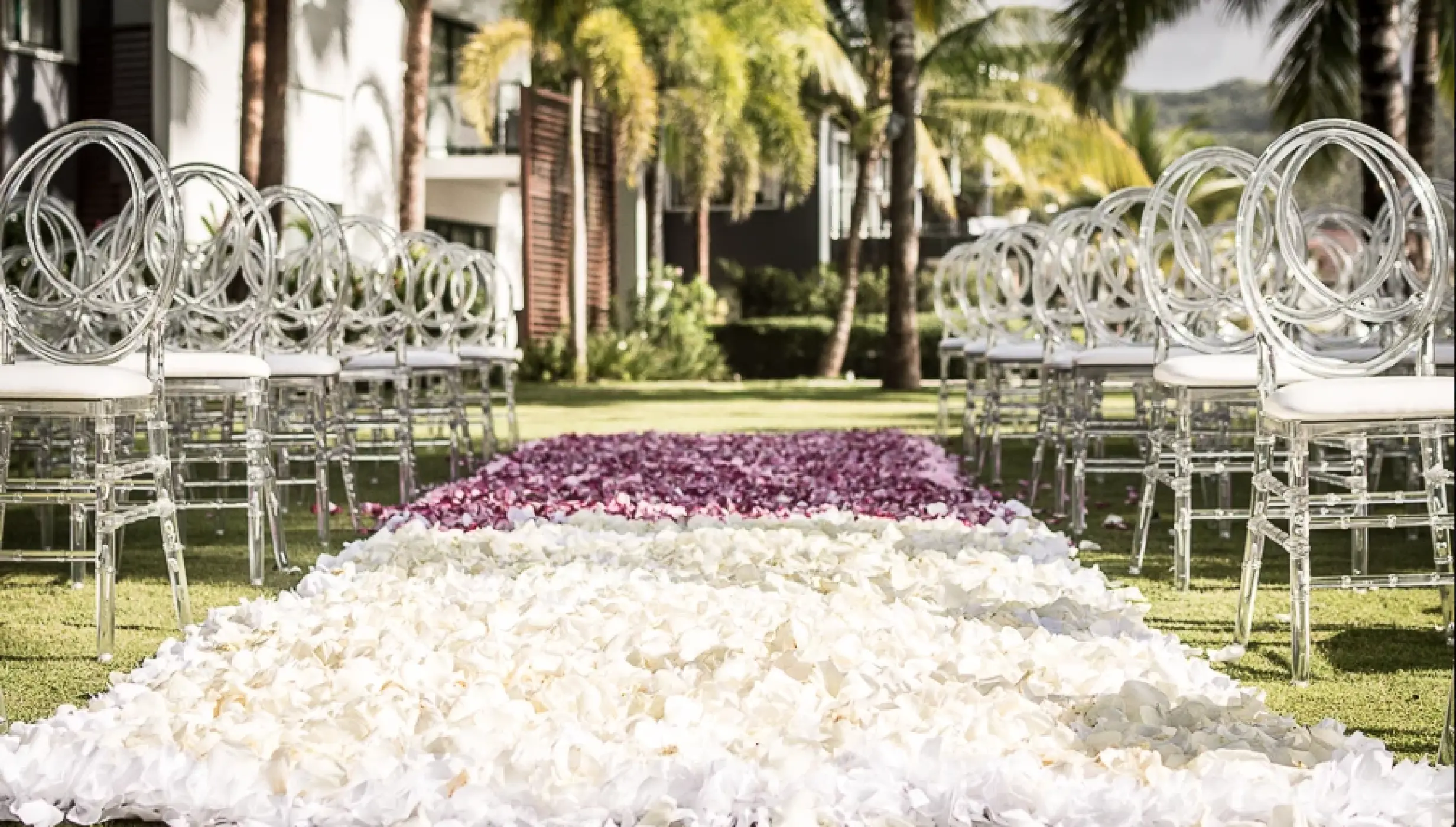 Petals on the garden at Sublime samana Las Terrenas