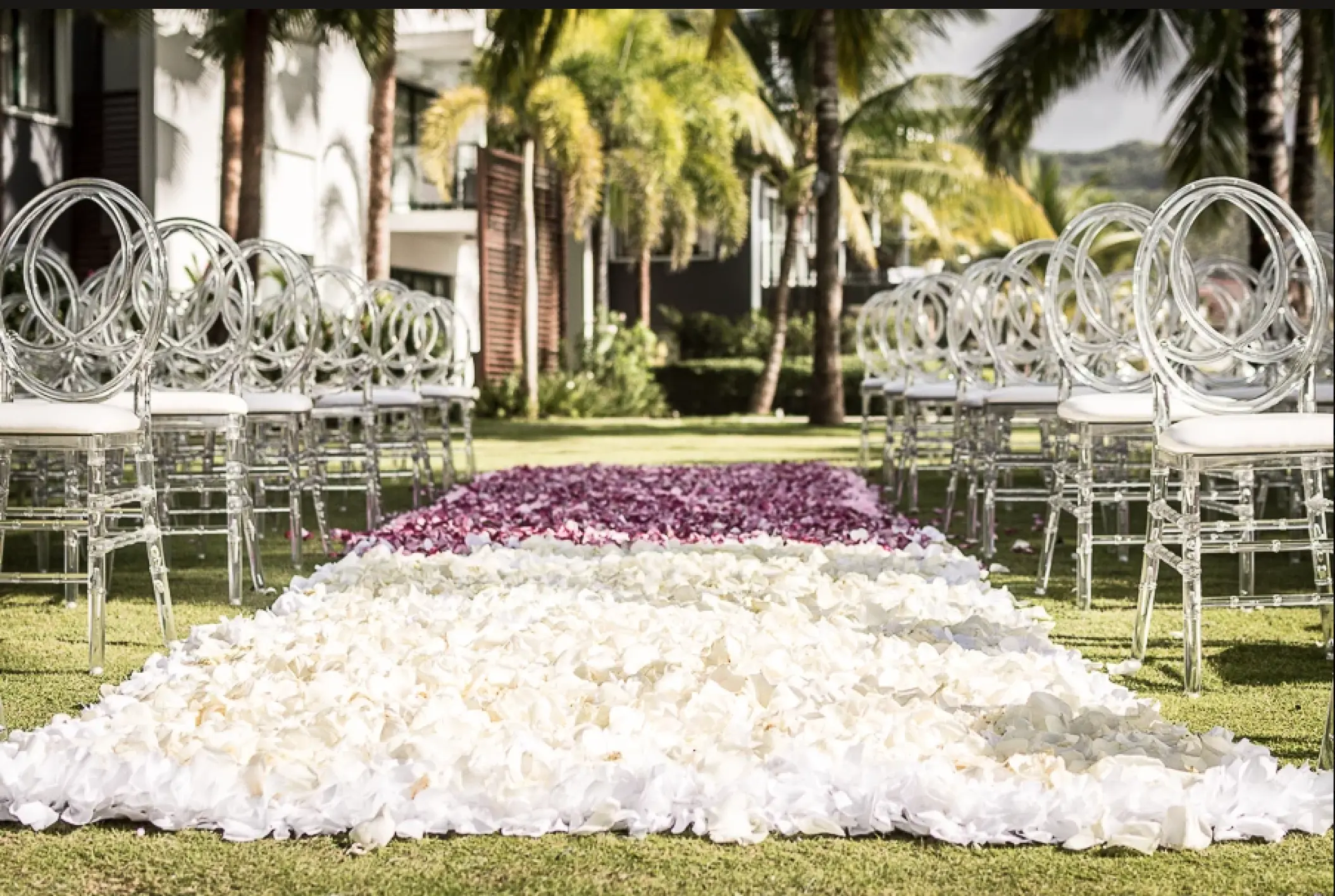 White and purple flower petal aisle with clear chairs for a garden wedding ceremony at Sublime Samaná, Samana