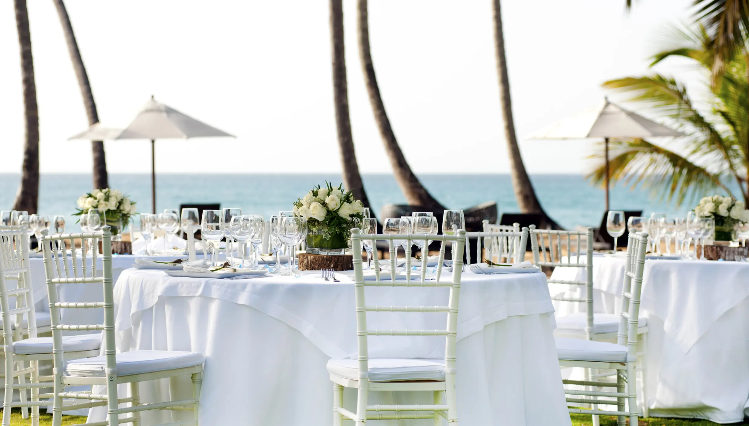 Dinner reception on the garden at Sublime samana Las Terrenas