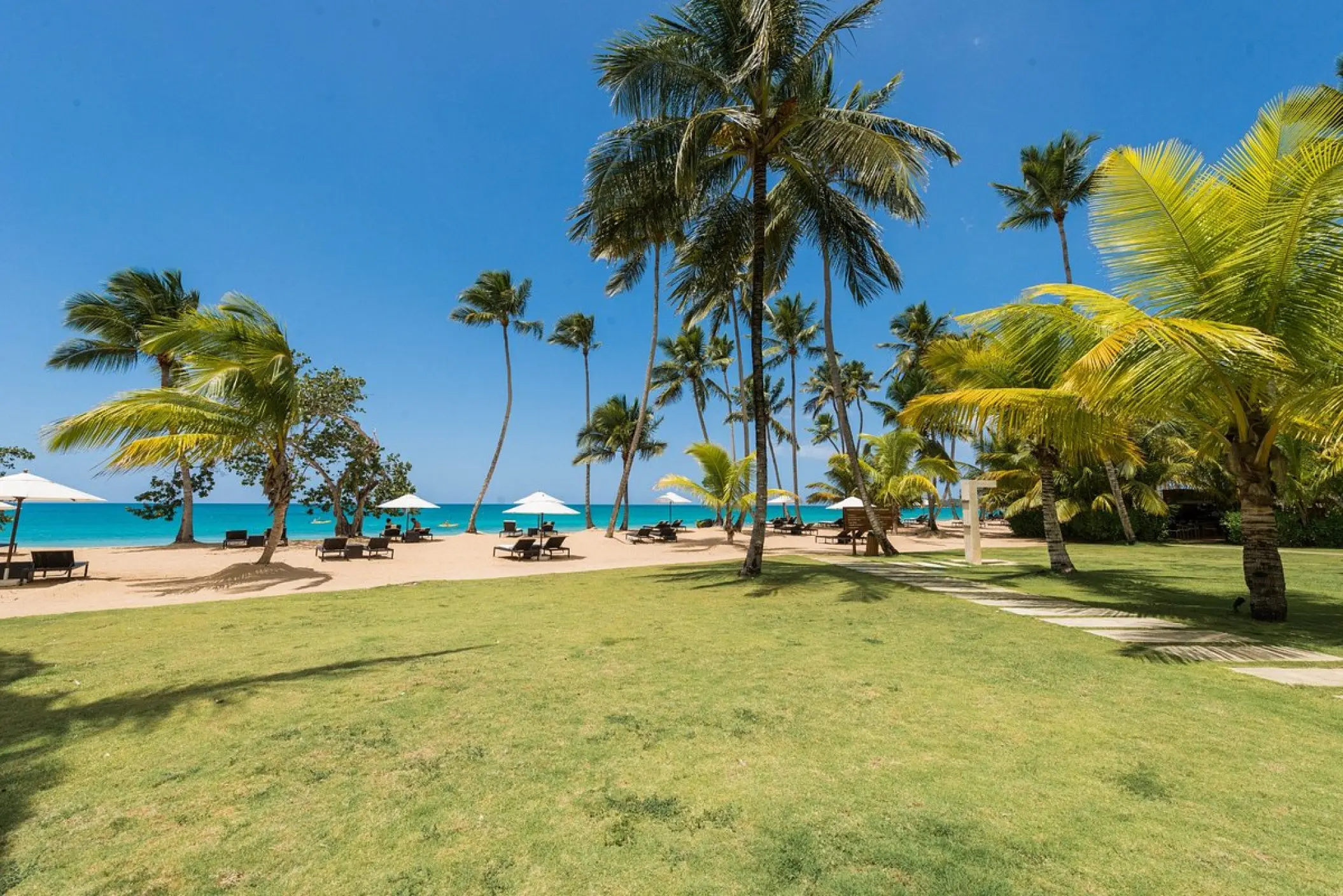 Palm trees and manicured lawn at the beachfront of Sublime Samaná, Samana