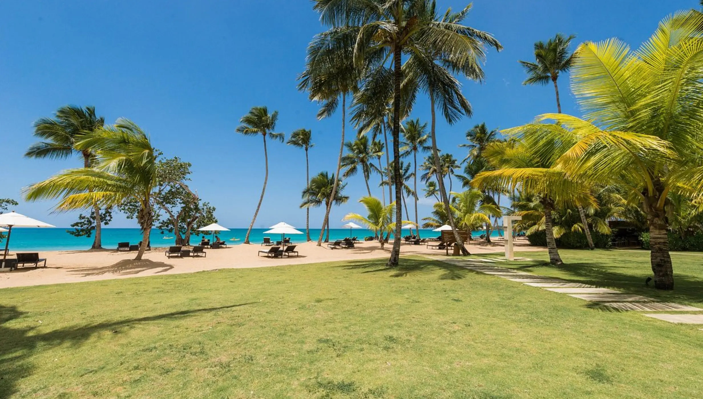Garden at Sublime samana Las Terrenas