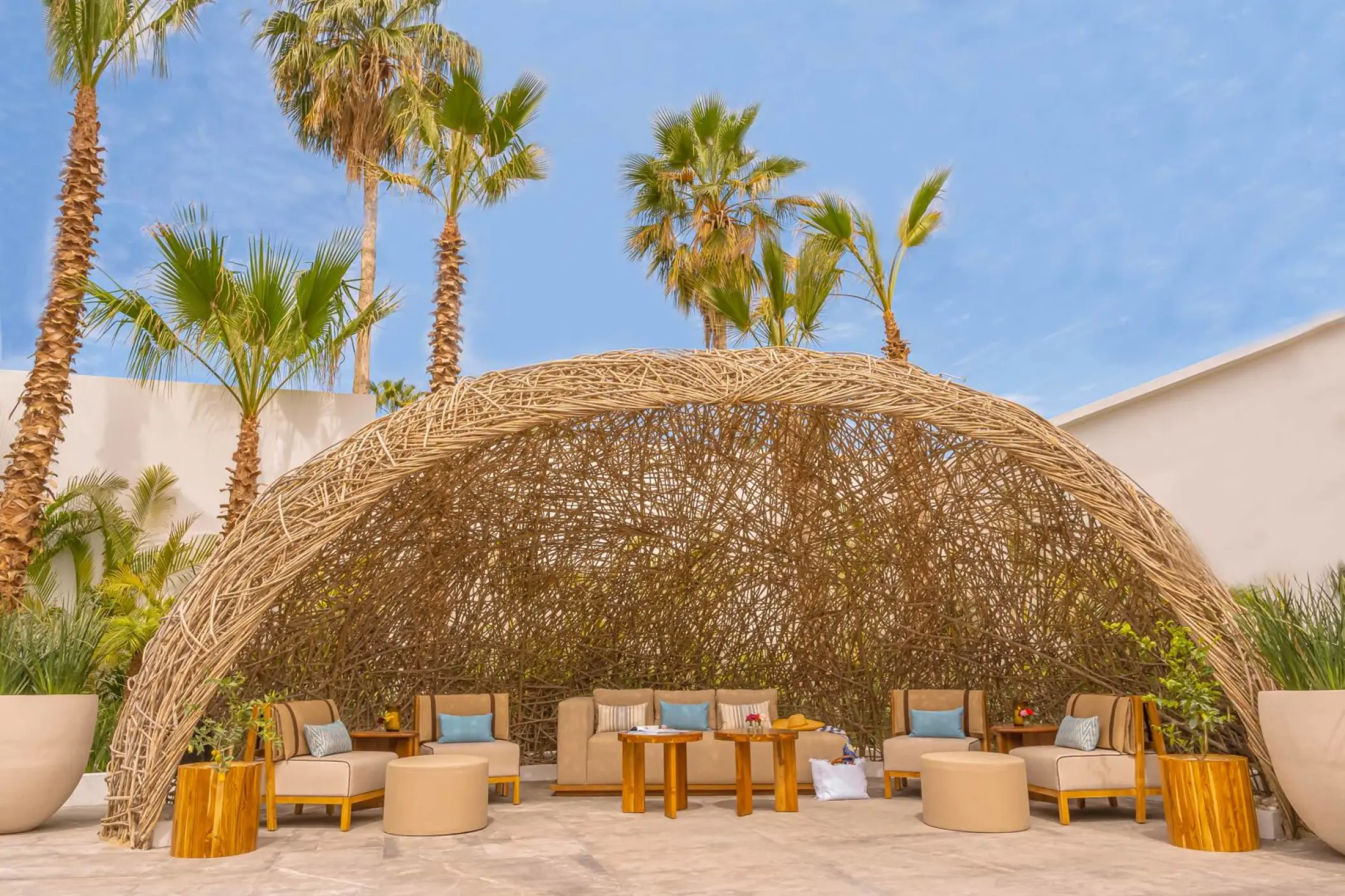 Viceroy Los Cabos woven nest lounge area with palm trees, Cabo San Lucas