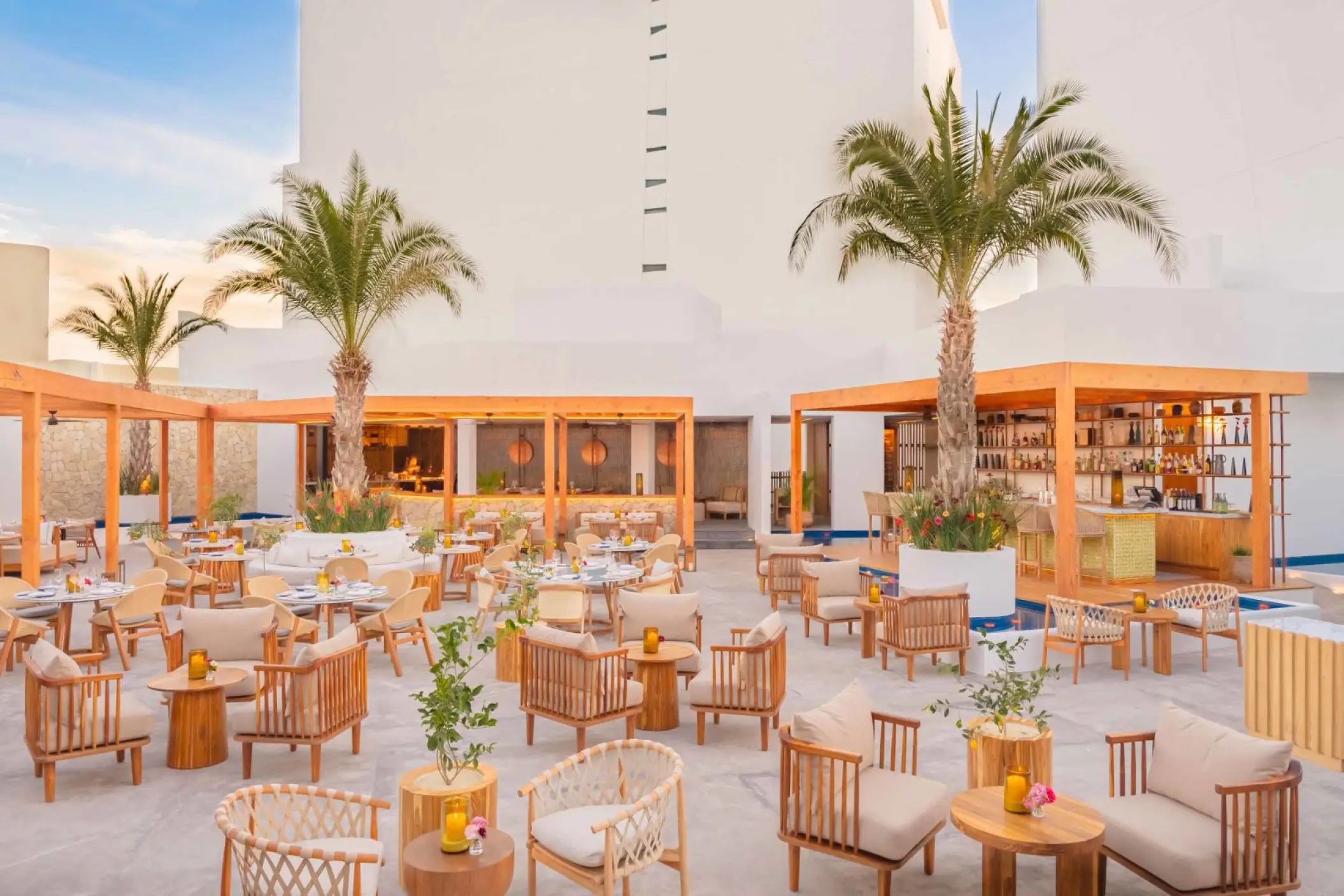 Dalia restaurant terrace with palm trees and modern wooden seating at Viceroy Los Cabos, Cabo San Lucas