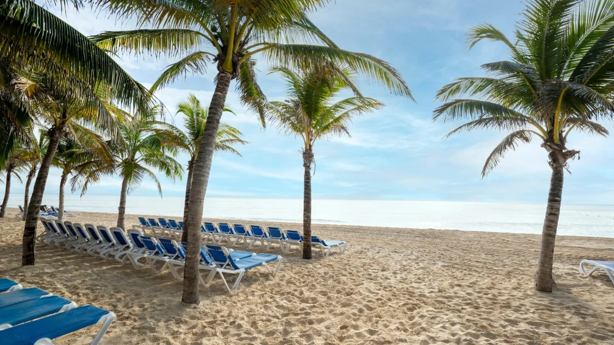 Beach wedding venue at Viva Wyndham Maya Resort