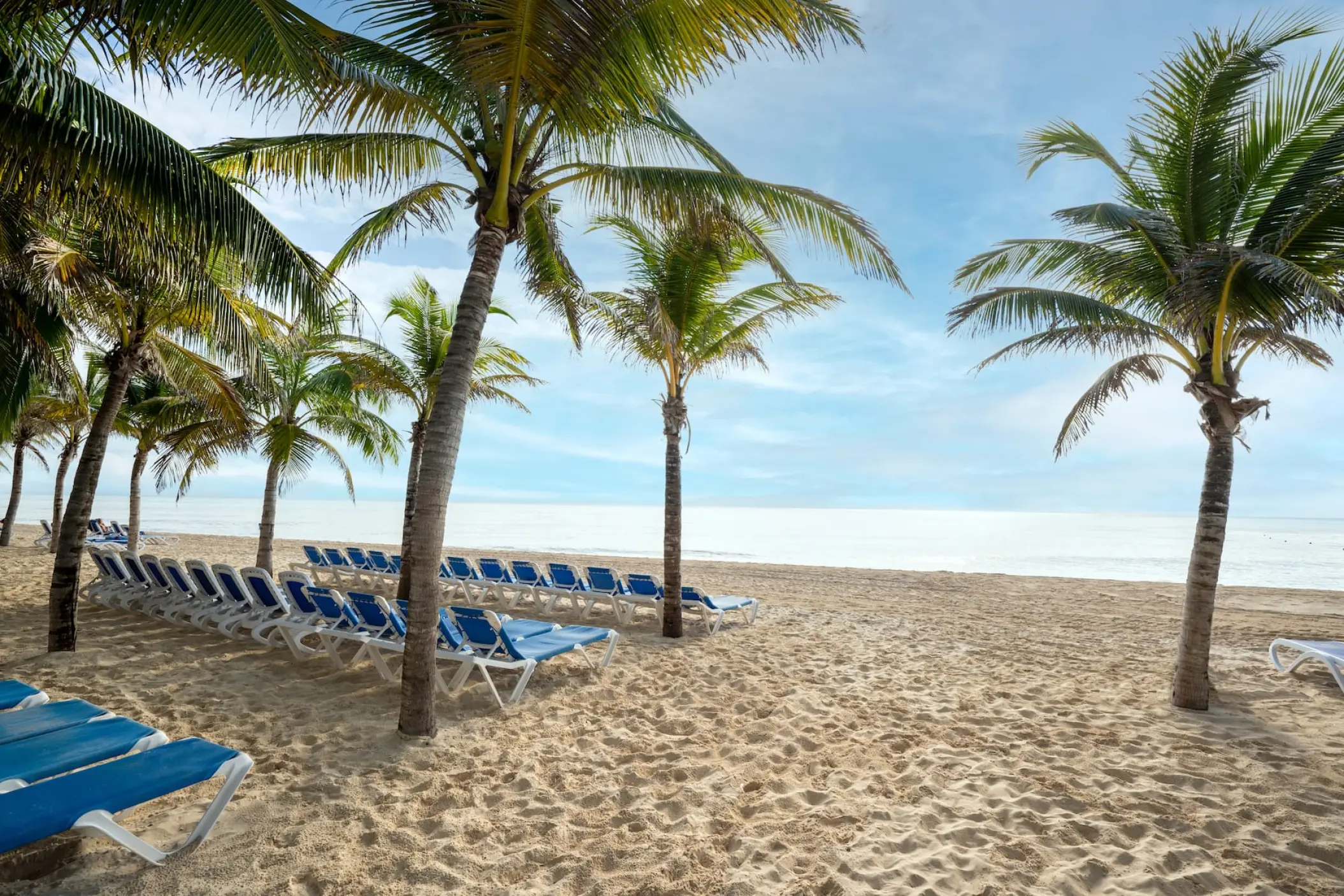 Palm trees and blue lounge chairs on the sandy beach at Viva Maya by Wyndham, Playa Del Carmen