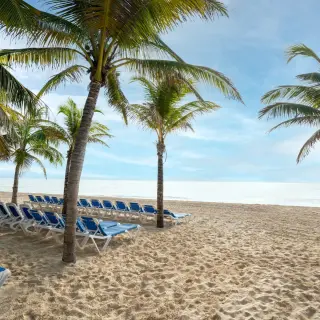 Palm trees and blue lounge chairs on the sandy beach at Viva Maya by Wyndham, Playa Del Carmen