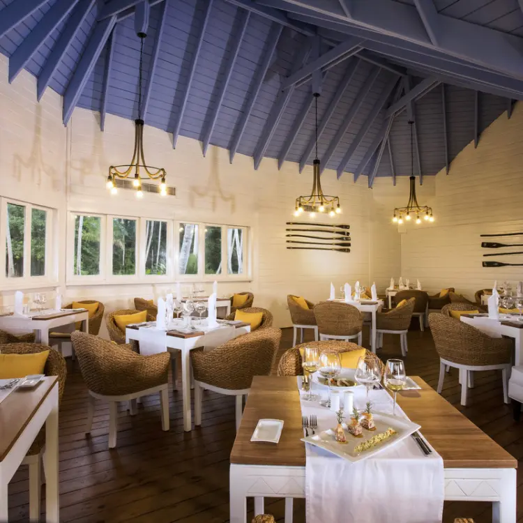 Indoor restaurant with vaulted blue ceilings and wicker chairs at Viva V Samana, Samana