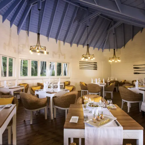 Indoor restaurant with vaulted blue ceilings and wicker chairs at Viva V Samana, Samana