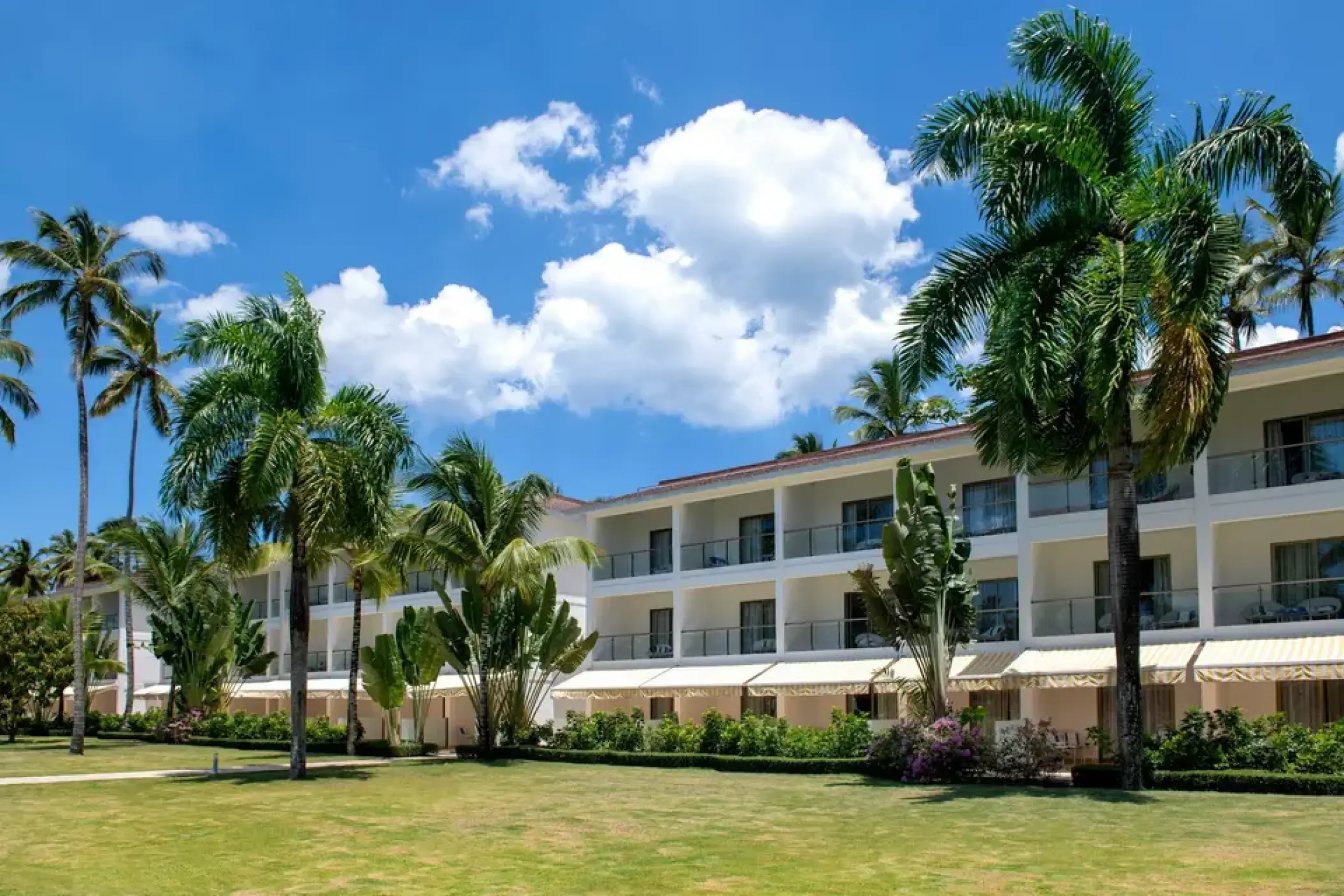 Viva V Samana guest room building and palm trees, Samana