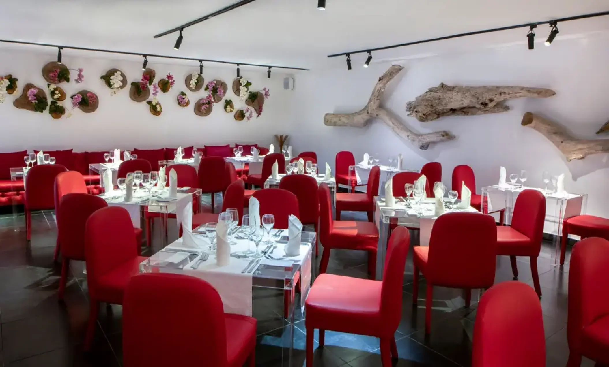 Fusion restaurant dining room with red chairs and white linens at Viva V Samana, Samana