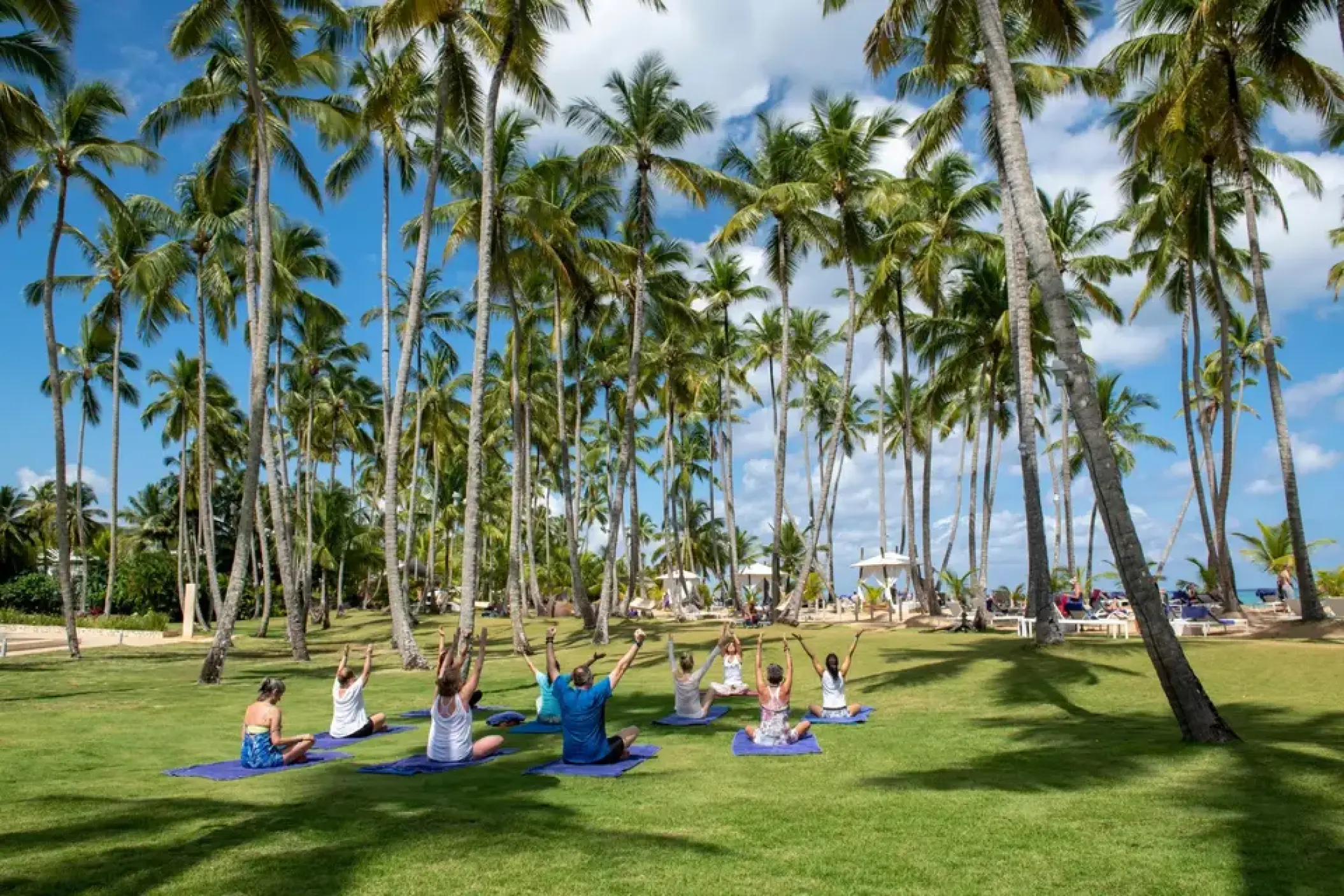 Outdoor yoga class on a lawn surrounded by palm trees at Viva V Samana, Samana