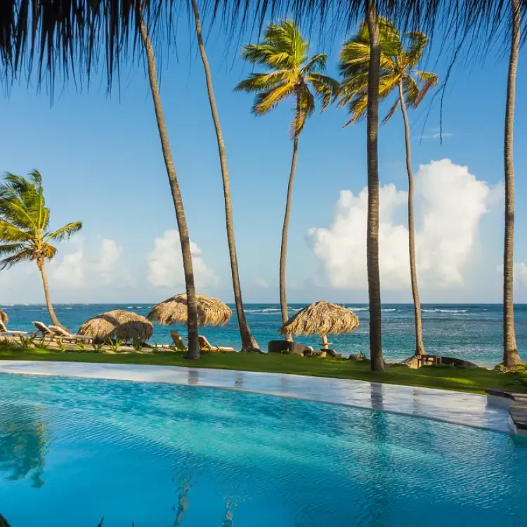 Beachfront pool and palm trees at Zoetry Agua, Punta Cana