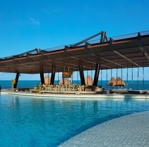 swim up bar and pool at Dreams Natura Resort and Spa