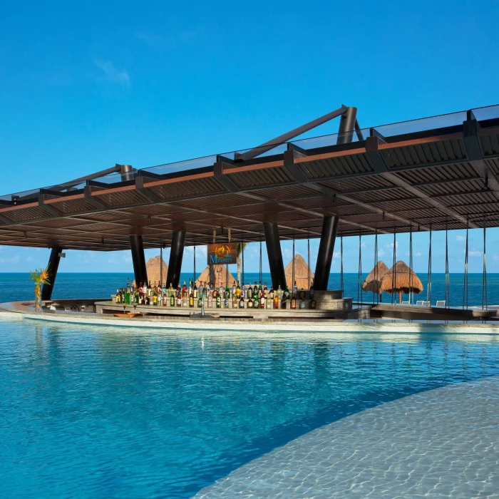 swim up bar and pool at Dreams Natura Resort and Spa