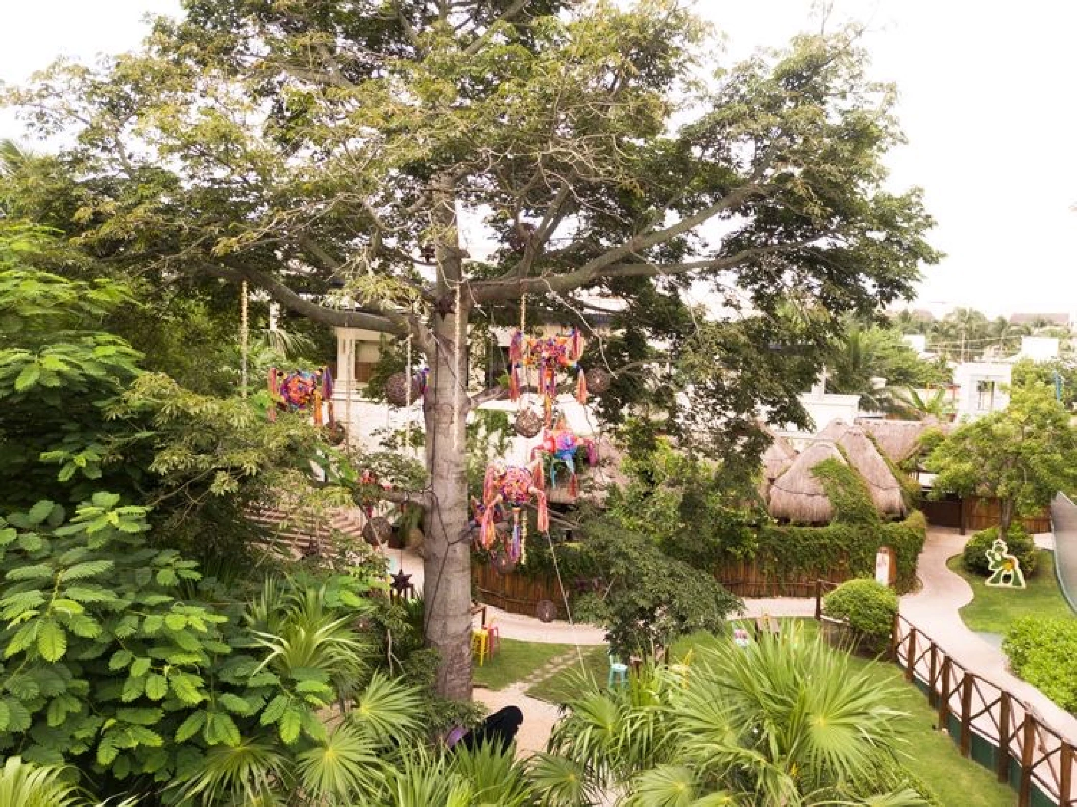 Ceiba tree venue at Dreams Riviera Cancun Resort and Spa