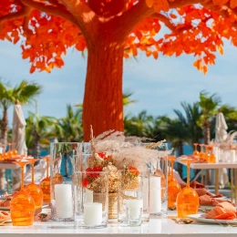 Orange tree at Garza Blanca Resort & Spa Los Cabos