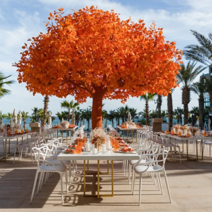 Orange tree at Garza Blanca Resort & Spa Los Cabos