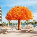 Weddding on the orange tree wedding venue at Garza Blanca Resort & Spa Los Cabos