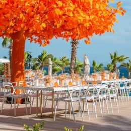 Orange tree at Garza Blanca Resort & Spa Los Cabos