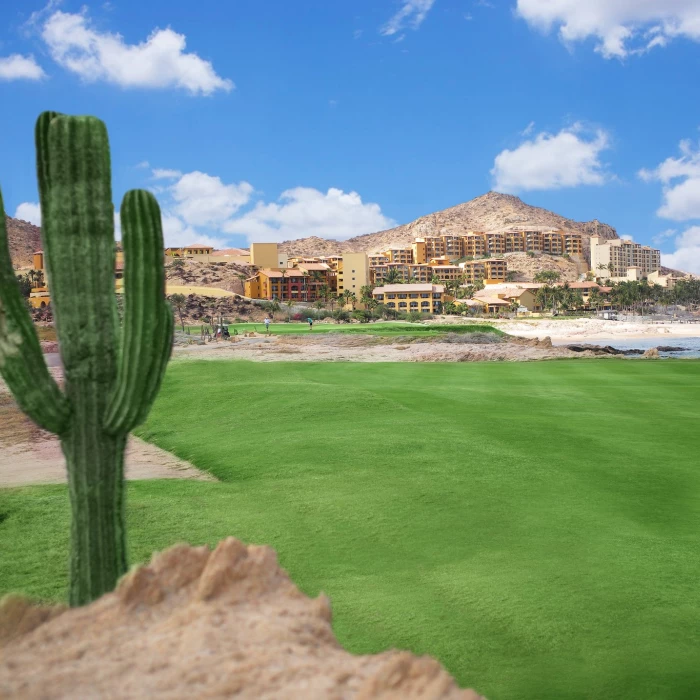 Golf course at Grand Fiesta Americana Los Cabos All inclusive Golf and Spa