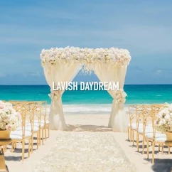 Hard rock lavish daydream ceremony