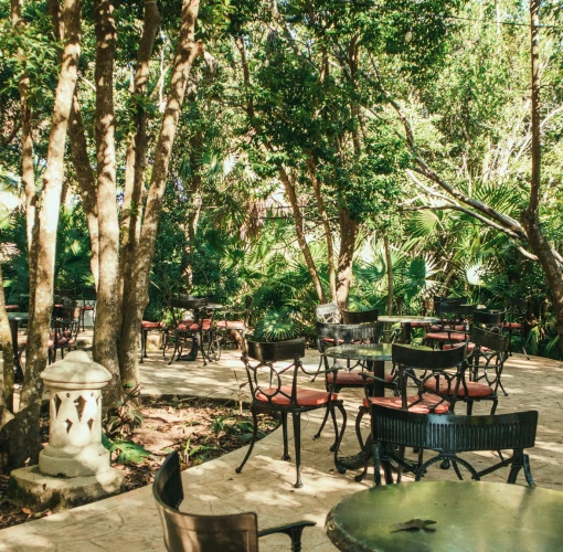 Iberostar Paraiso Beach outdoor jungle seating area