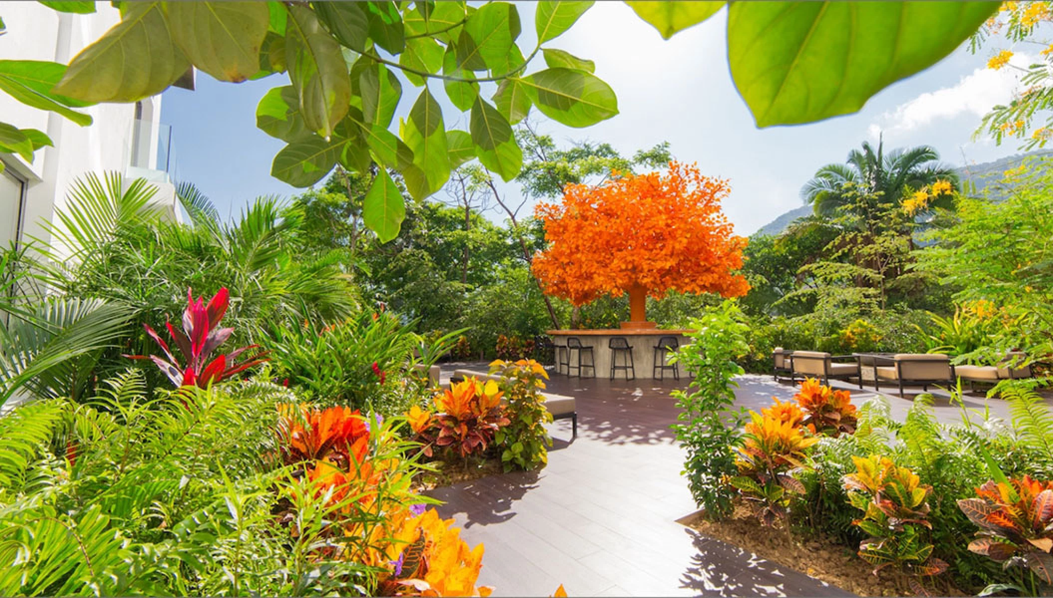 Hotel Mousai Orange Tree Wedding Venue.